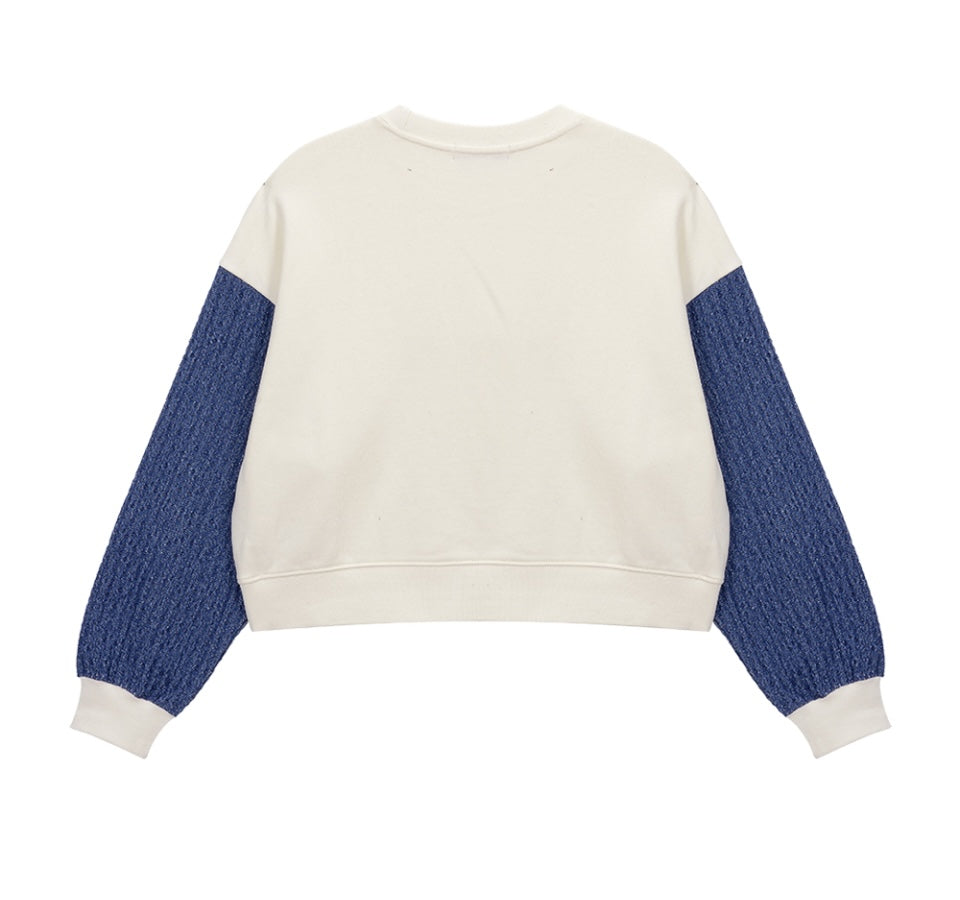 Color Point Sweatshirt F Gaeddongi