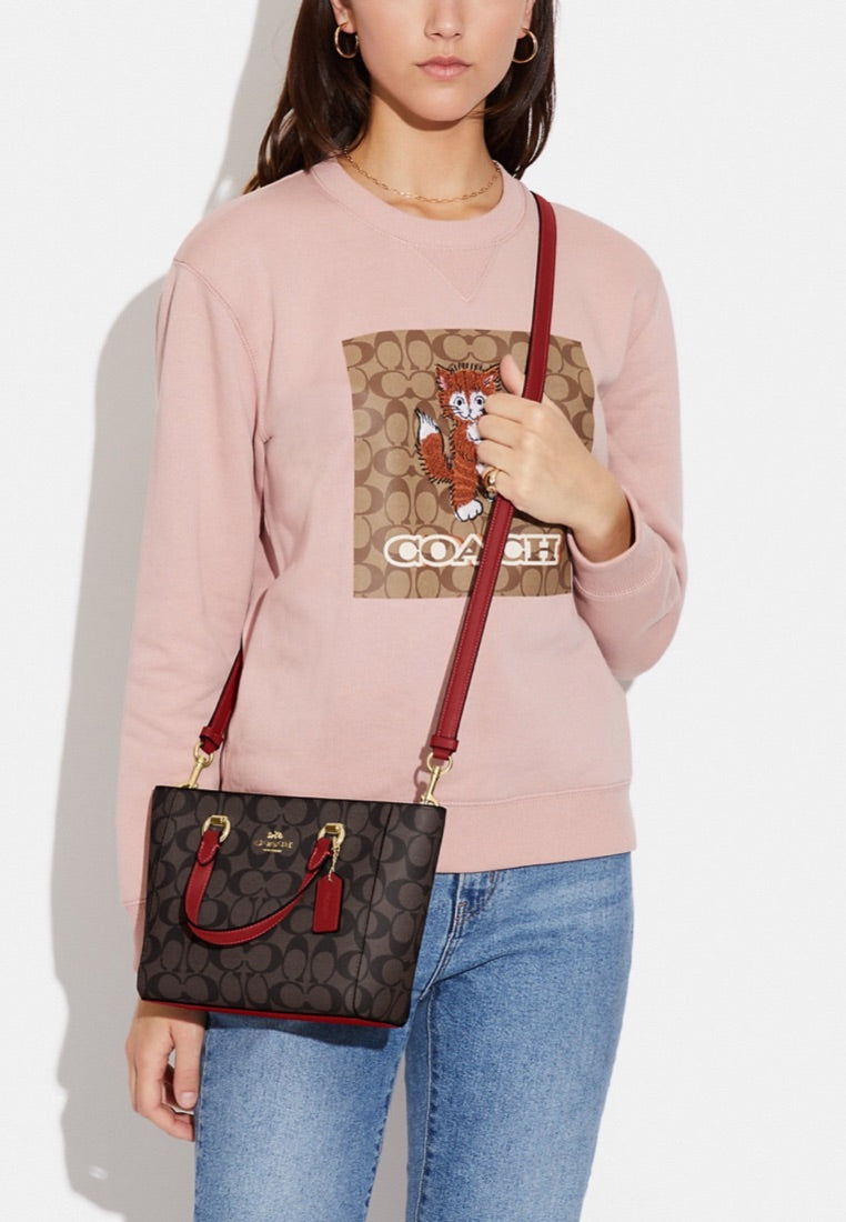 Alice Satchel In Signature Canvas Brown 1941 Red