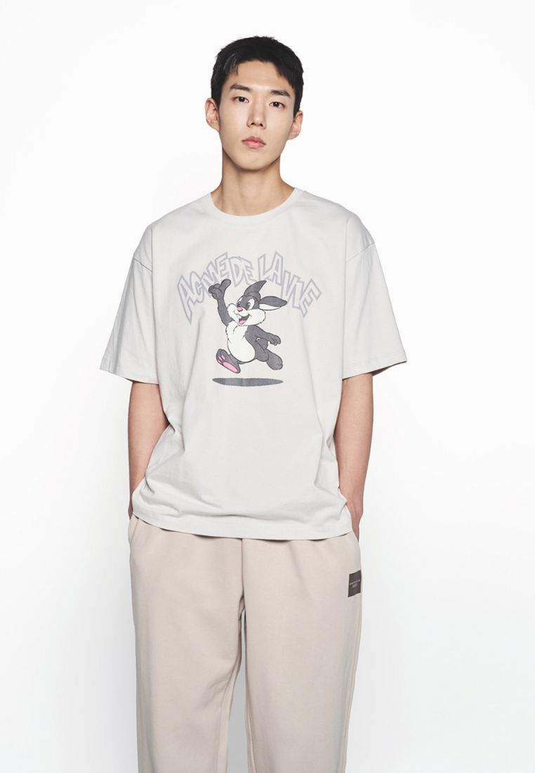 Cartoon Chinchilla Short Sleeve T-Shirt Light Gray