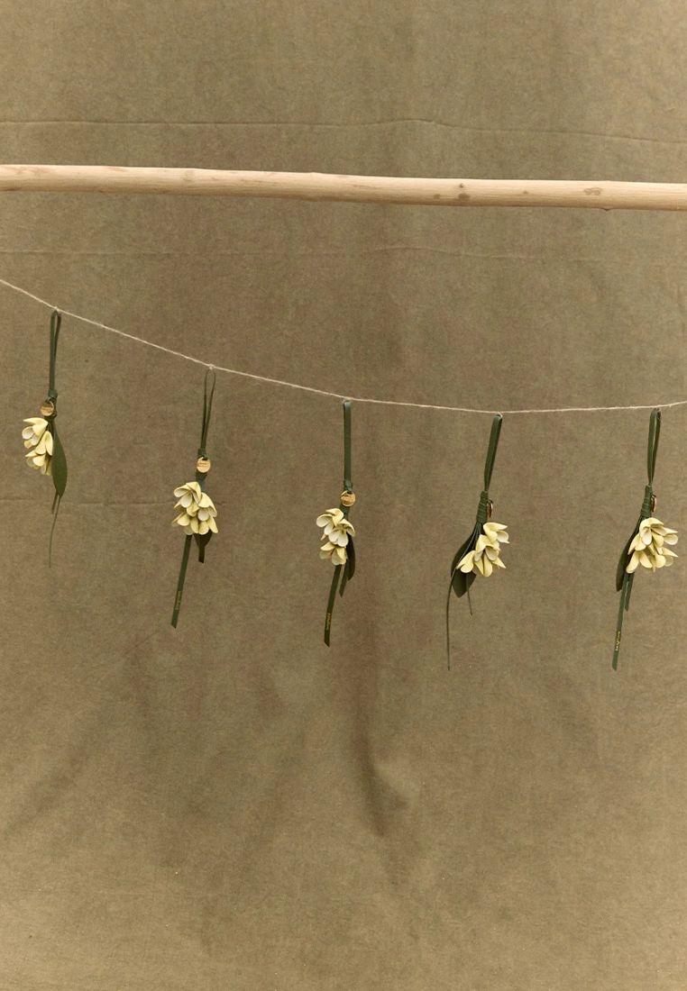 Osmanthus Charm
