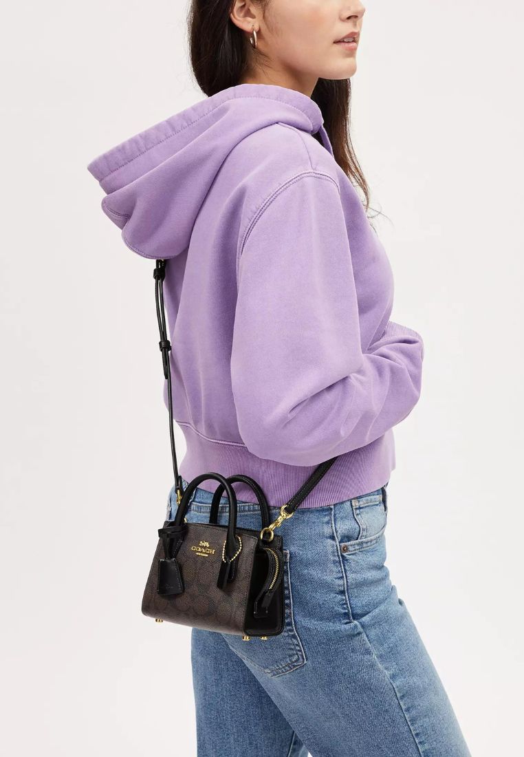 Andrea Mini Carryall In Signature Canvas Brown Black