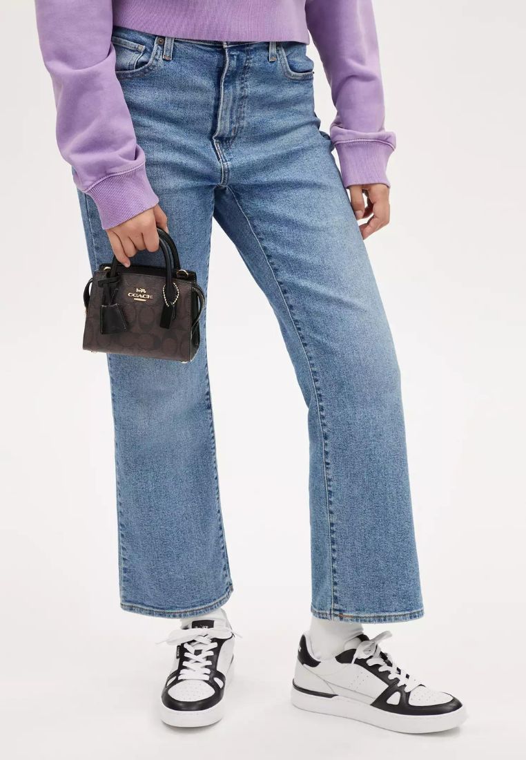 Andrea Mini Carryall In Signature Canvas Brown Black