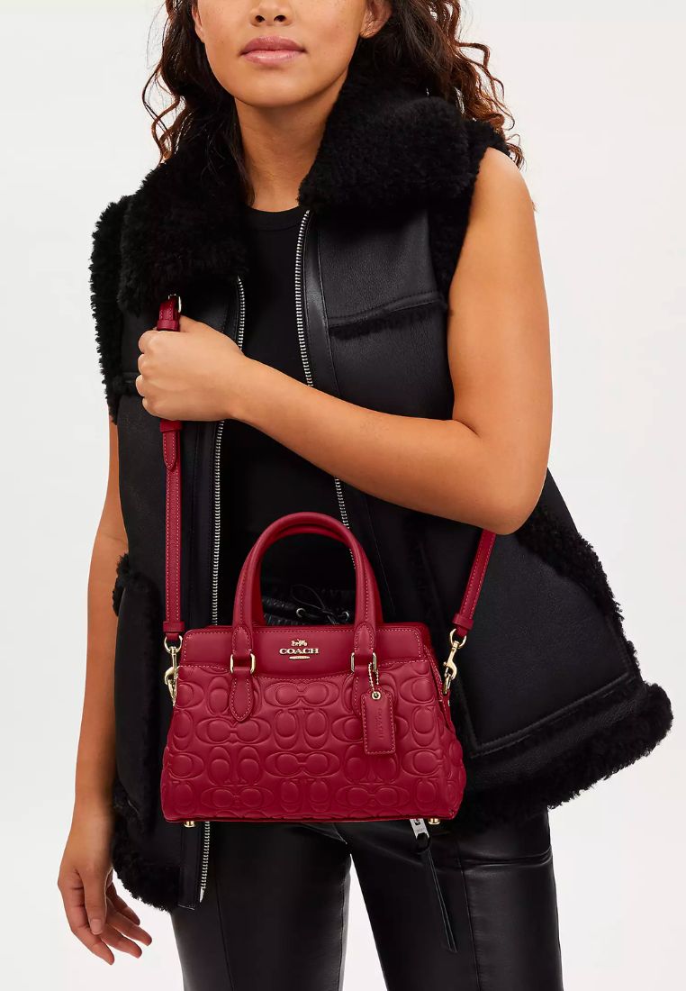 Mini Darcie Carryall With Signature Leather Cherry
