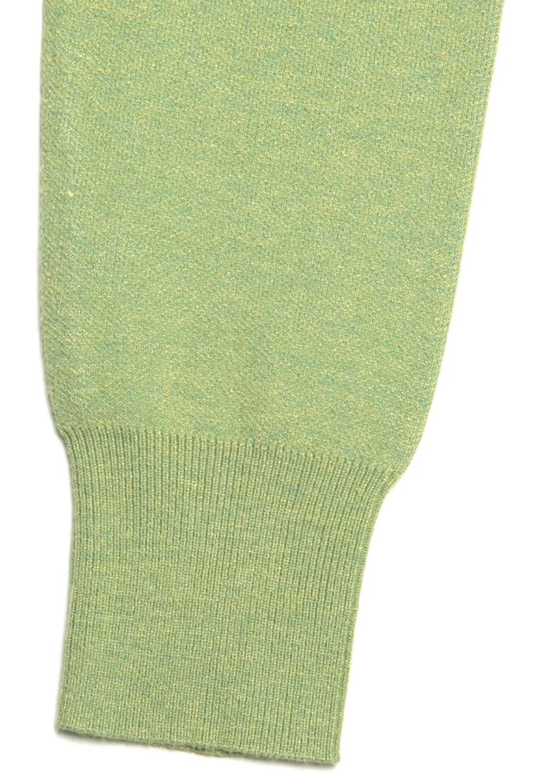 W Classic Logo Crop Knit Green