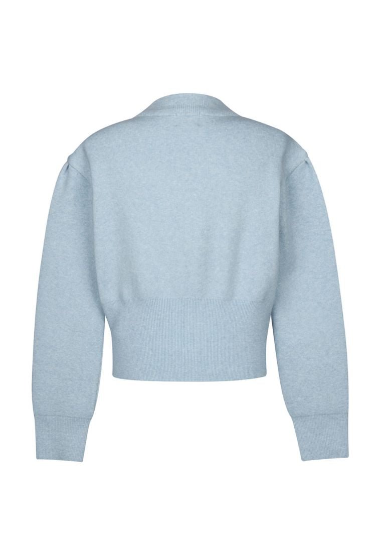 W Classic Logo Crop Knit Sky Blue