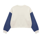 Color Point Sweatshirt F Gaeddongi