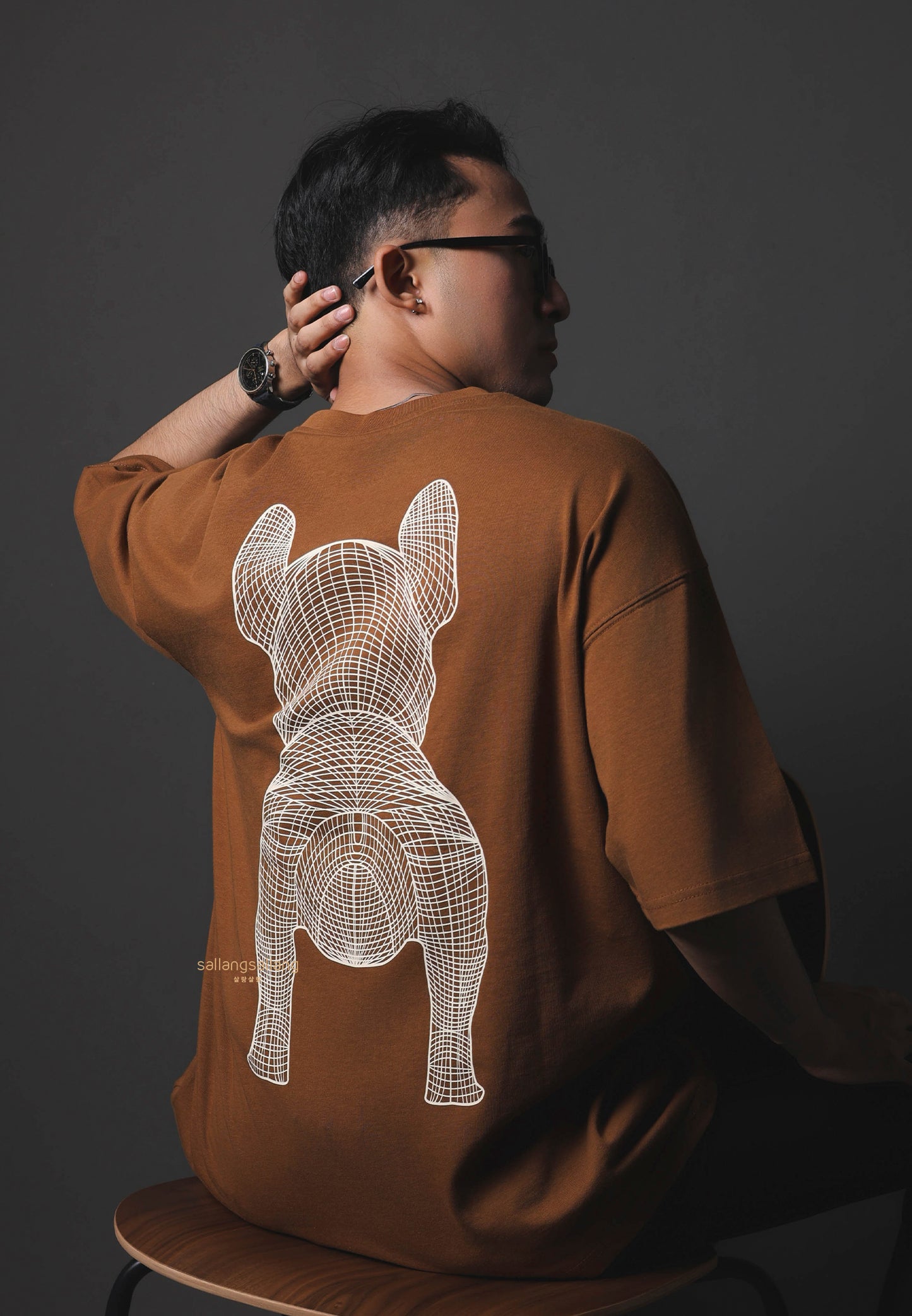 Big Radog T-Shirt Brown