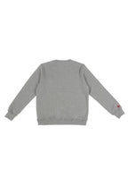 SHY BUBBLE SWEAT grey
