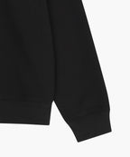 SMALL CLASSIC LOGO HALF ZIPUP SWEATSHIRT black