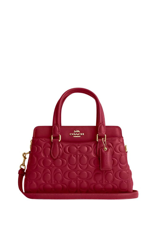Mini Darcie Carryall With Signature Leather Cherry