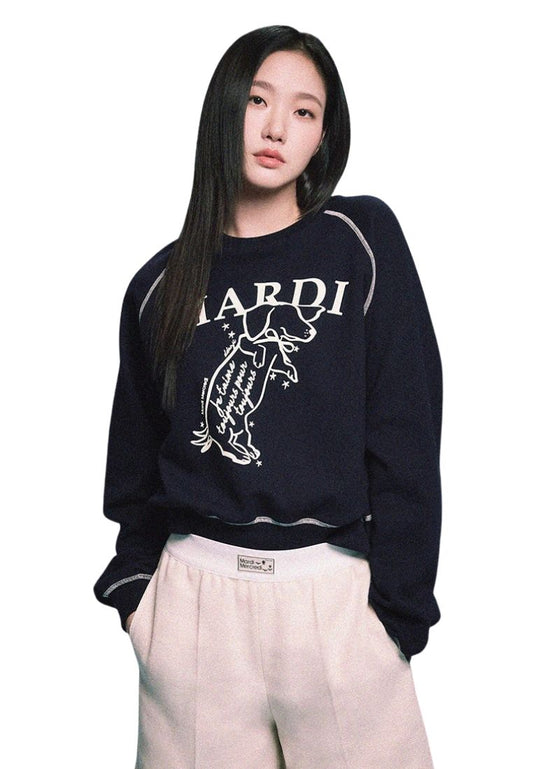 Sweatshirt Raglan Swing The Tail Ddanji Navy Cream