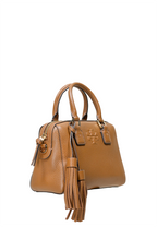Thea Mini Web Satchel Moose