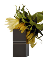 Parfume Balm Chamo
